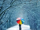 Droga, Śnieg, Parasol