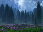Fioletowe, Kwiaty, Góry, Drzewa, Mgła
