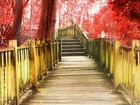 Most, Czerwone, Drzewa