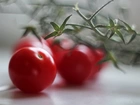 Pomidory, Koktajlowe, Gałązka