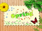 Wiosna, Napis, Motylki, Kwiat, Liście