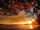 Zachód słońca, Jezioro, Jesień, Drzewo