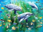 Delfiny, Kolorowe, Rybki