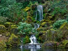 Ogród, Japoński, Portland, Oregon, Wodospad