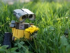 Robot, Fotografujący, Łąka, Kwiaty, Trawa
