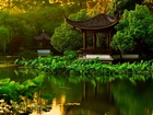 Staw, Park, Altanki, Drzewa, Liście Lotosu, Hangzhou, Chiny