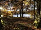 Jesień, Drzewa, Przebijające światło, Woda, Park