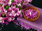 Fioletowe, Kwiaty, Ręcznik