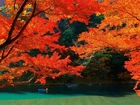 Jezioro, Góry, Lasy, Drzewa, Łódka, Kolory, Jesieni, Kioto, Wyspa, Japonia