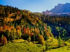 Austria, Tyrol, Karwendel, Jesień, Góry, Lasy