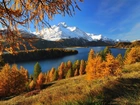 Góry, Jezioro, Lasy, Szwajcaria