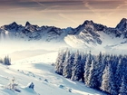 Zima, Ośnieżone, Drzewa, Góry, Śnieg