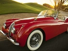 1954, Jaguar, XK,120, Roadster