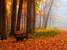 Jesień, Park, Mgła, Ławka