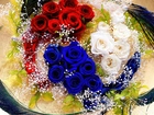 Kwiaty, Róże, Czerwone, Niebieskie, Białe