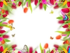 Kwiaty, Tulipany, Motyle