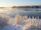 Zima, Rzeka, Krzaki