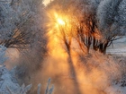 Zima, Mgła, Drzewa, Rzeka, Promienie słońca