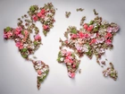Kompozycja, Kolorowe, Kwiaty, Mapa Świata