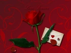 Róża czerwona, Płatki róży, Koperta z sercem