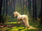 Koń, Las, Drzewa