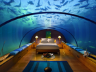 Podwodny, Hotel, Dubaj, Oceanarium