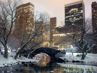 Park, Nowy Jork, USA, Zima