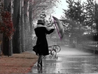 Park, Parasol, Deszcz, Kobieta