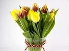 Tulipany, Kwiaty
