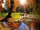 Promienie, Słońca, Rzeka, Drzewa, Jesień