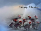 Boże Narodzenie,Merry Christas