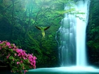 Las, Wodospad, Kwiaty, Papuga