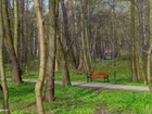 Park, Ławka, Drzewa, Zieleń, Alejka