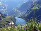 Poranek, Rośliny, Jezioro, Góry Alpy