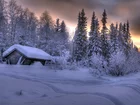 Zima, Dom, Śnieg, Drzewa