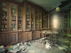 Stara, Zniszczona, Biblioteka