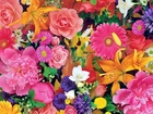 Bukiet, Kolorowych, Kwiatów