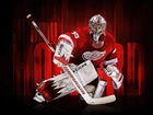 Hokej, Bramkarz, Detroit Red Wings, NHL