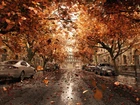 Jesień, Deszcz, Droga, Ulica, Samochody, Drzewa, Liście