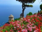 Morze, Kwiaty, Ravello, Włochy