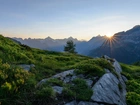 Szwajcaria, Góry, Alpy, Świt, Promienie Słońca