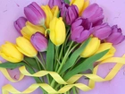 Tulipany, Żółte, Fioletowe, Wstążka