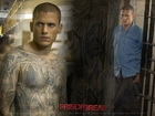 Prison Break, Wentworth Miller, tatuaż, szkic