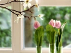 Okno, Tulipany