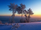 Drzewa, Wschód, Słońca, Horyzont, Zima