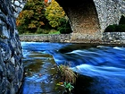 Rzeka, Most, Drzewa, Jesień