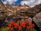 Jezioro, Góry, Czerwone, Kwiaty