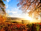 Park, Jesień, Promienie słońca, Ławka, Liście, Drzewa