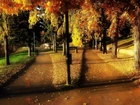 Jesień, Park, Dróżki, Alejki, Drzewa