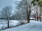 Zima, Droga, Drzewa, Śnieg, Domy